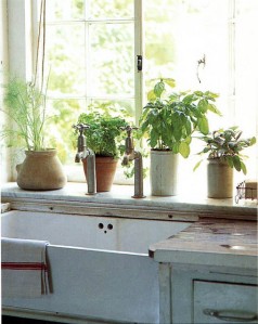 country kitchen rustic herbs